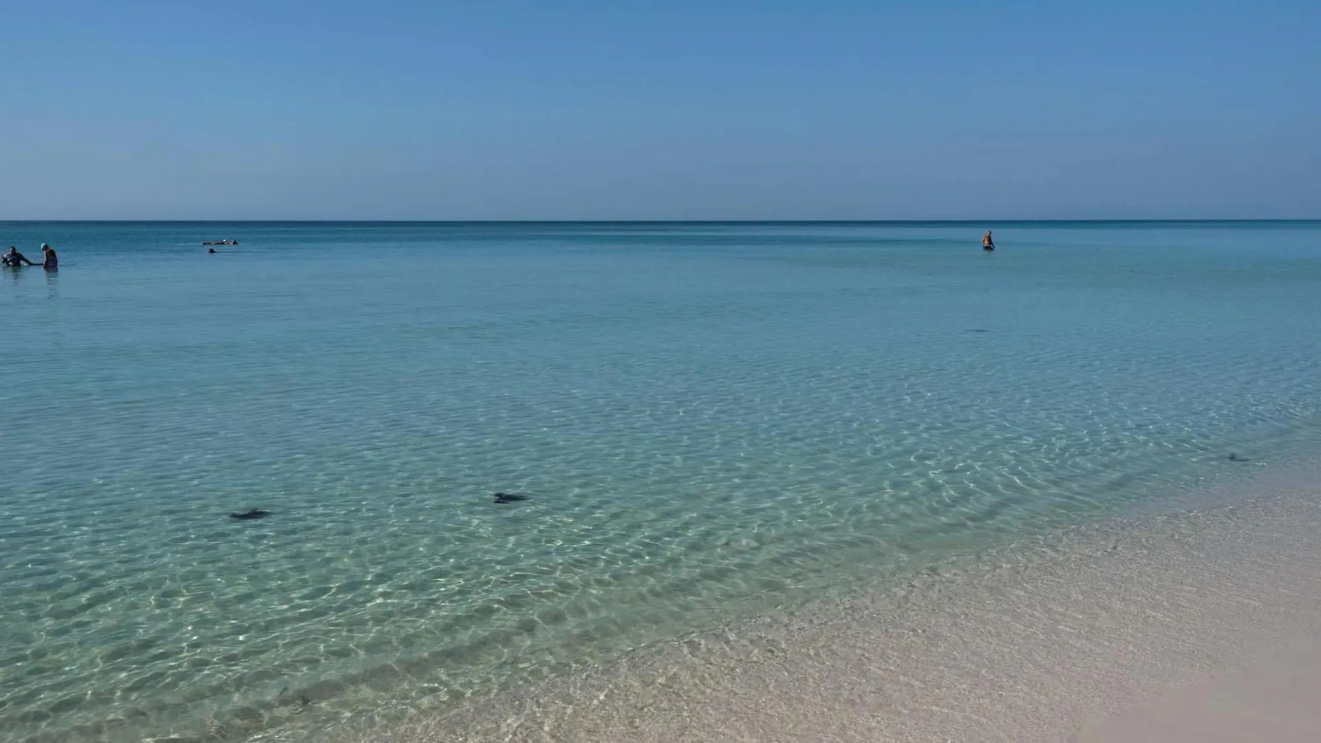 Majestic Sun 813B Apartment Destin United States